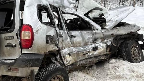 ����: ���������������� ������������� �������
