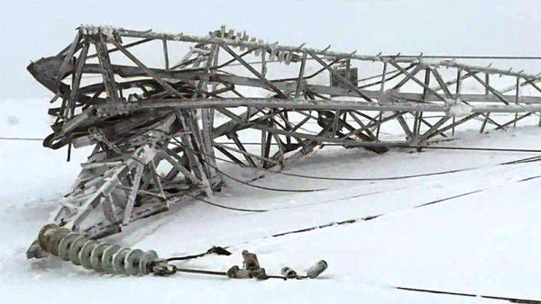 ���� �� Telegram-������ ����������� �����