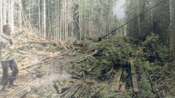 ����: ����������� ������������� �������