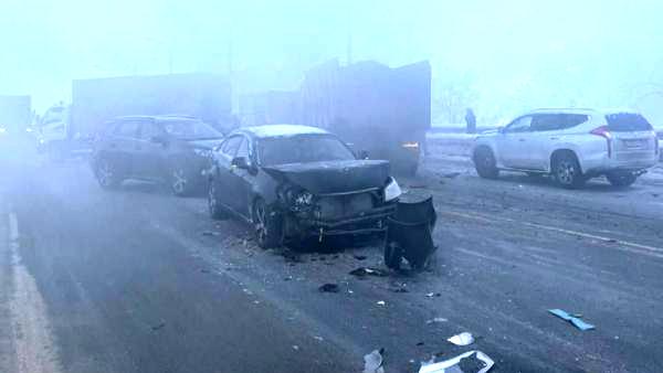 ����: �������