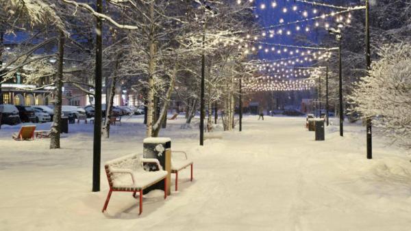 ����: ������� �����