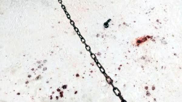 ����: ������ �����