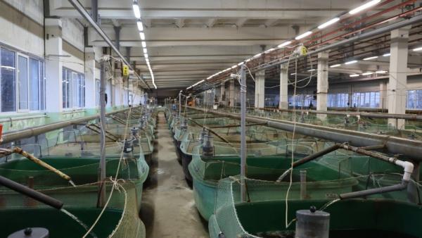 ����: �������� ������ ���� �����������