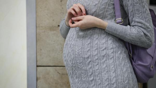 ����: ������ ��������� /����