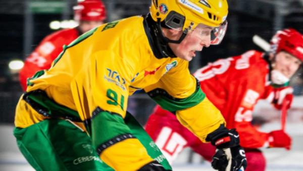 ����: �������