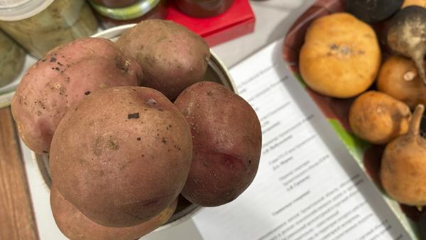 ����: News29