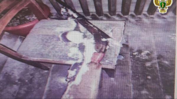 ����: �����-������ ����������� ������������� ������� � ���