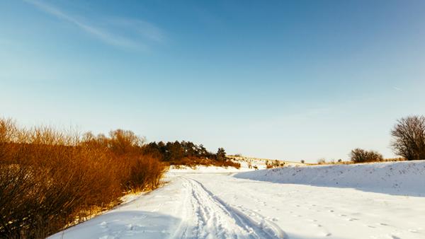 ����������� �� freepik (https://ru.freepik.com)