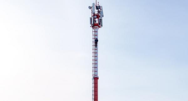 ����: �����-������ �2