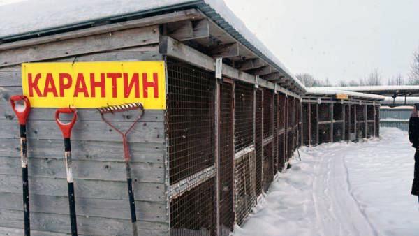 ����: ����������� ������������� �������