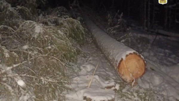 ����: �����-������ ����������� ������������� ������� � ���