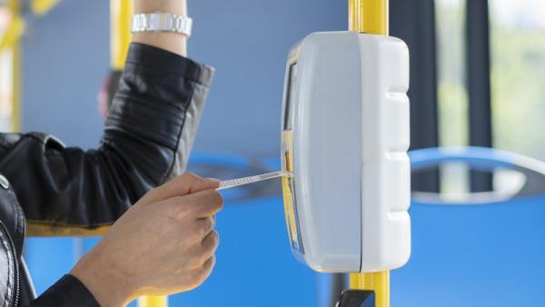 ����: ����������� �� freepik (https://ru.freepik.com)