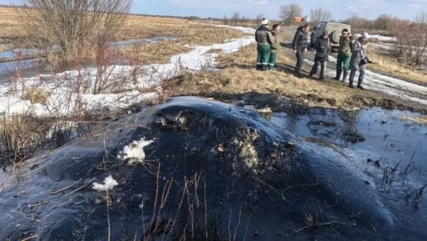 ����: ����������� ������������� ������� � ���
