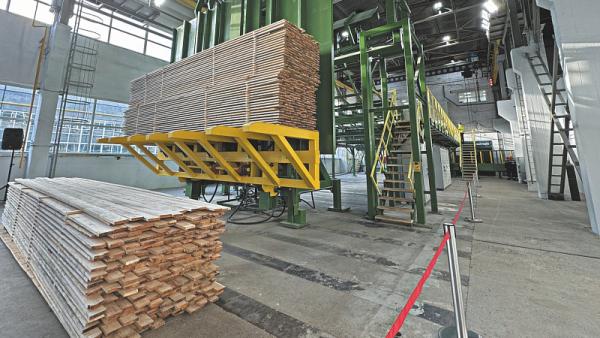 ����: �����-������ ����������� � ������������� ������������� �������

