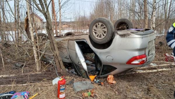 ����: ���������������� ������������� �������
