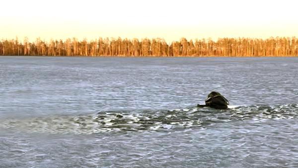 ����: �����-������ ����� �� ������������� ������� � ���