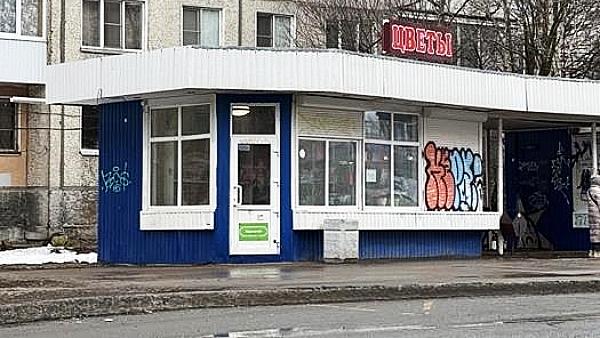 ����: News29