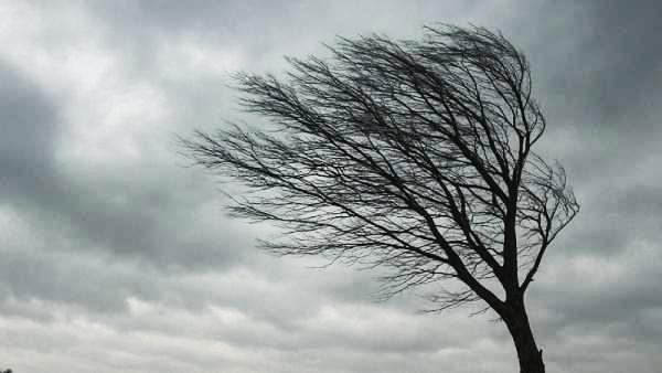 ����������� ������������� ChatGPT
