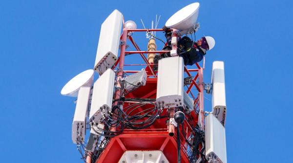 ����: �����-������ �2