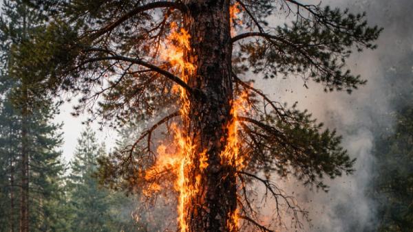 ����������� ������������� ChatGPT