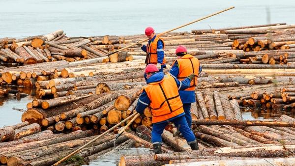 ���� �� ����������� ������ �� ������� ���������