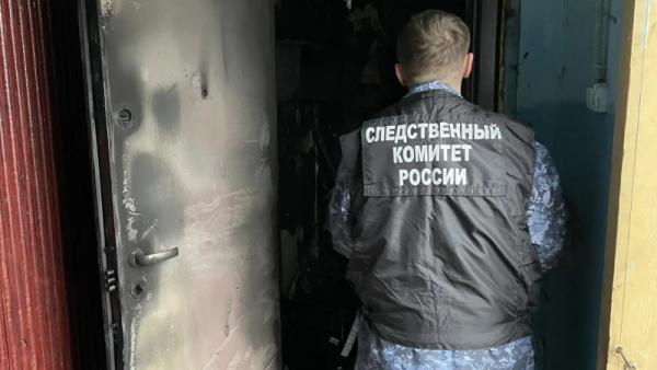 ����: �����-������ ������������� ���������� ������������� �������� �� �� �� � ���