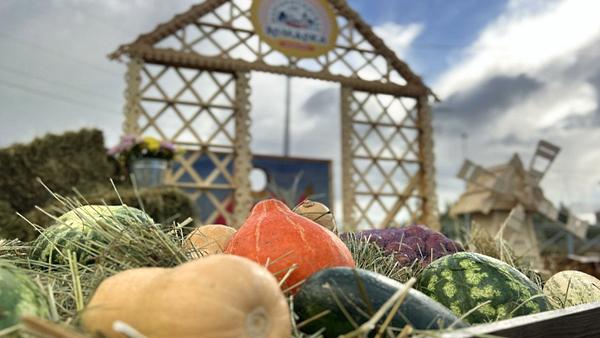 ����: dvinanews.ru