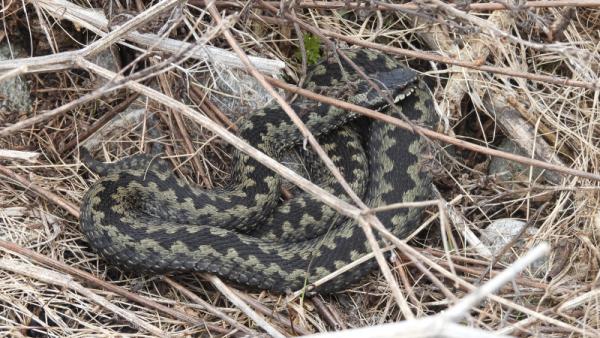 ����: ������������ ���� ��������� �������
