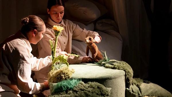 ���� �������������� ������ �����