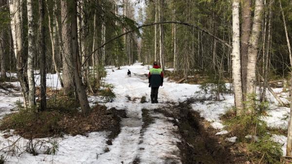 ����: ������ �������� ��. �.�. ����������
