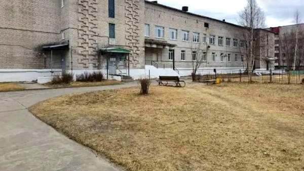 ����: �����-������ ����������� ������������� ������� � ���