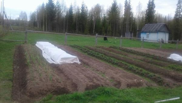 ����: ������������� ���������� �������������� ������
