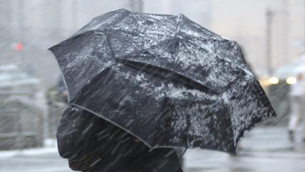 ����: ru.freepik.com
