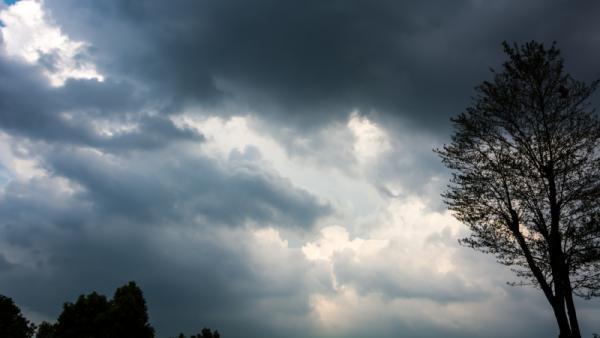 ����: https://ru.freepik.com/