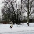 � ������������� ������� �������� �����