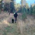 Пропавшего несколько дней назад мужчину нашли мертвым в Архангельской области