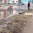 ����������� ��������� ����� � ������ ������������ ����� �� �����������