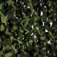 �� �������� ���� � ������� ����� ��� ������ 12 ��� ������� ��� �����������