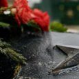 � ������������ ���������� ����������� �������� ����������� �� ����������� ��������