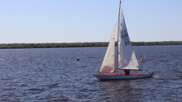 ����: News29
