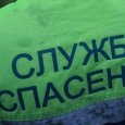 В Архангельске спасателям пришлось освобождать ребенка из березы