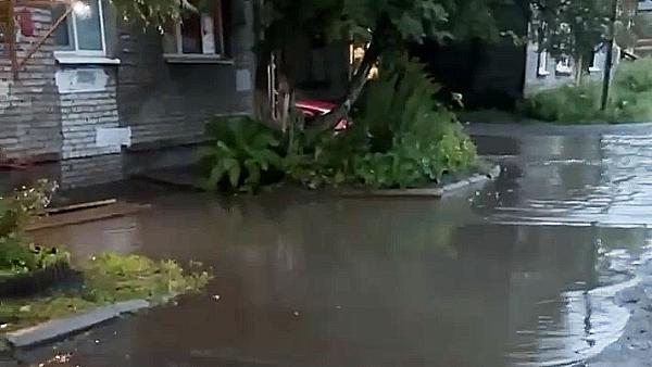 ���� ���������