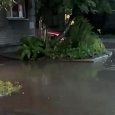 ������� ������ ������: ������� ������ ���� ���� � ������������� ����������