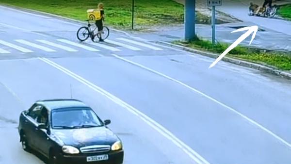 �� ����: �������� ������ ������ ��������������� (708-� �� �����! ����������� ������ / Vk.com)