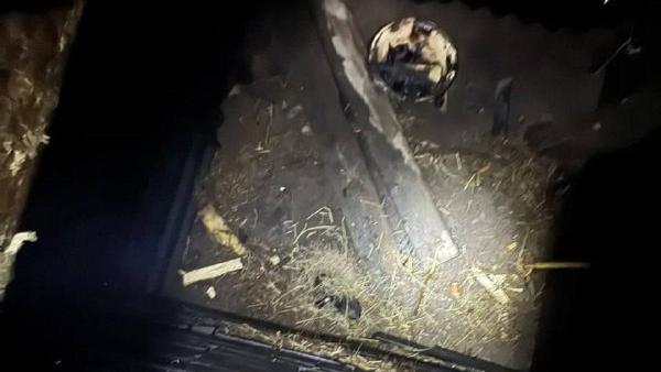 ����: ��������� �������