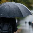�������� ������ ������������: ������������� ������� ���� ����� ������ ��������