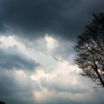 ����� ������������: ������������� ������� �� ��������� ������ ����� ������� �������