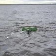 ���� ����������������� ��������� � ���� ����� ������������� �����: ���� �����