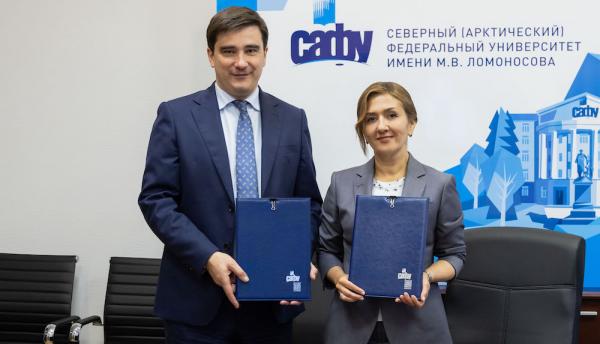 ����: ����