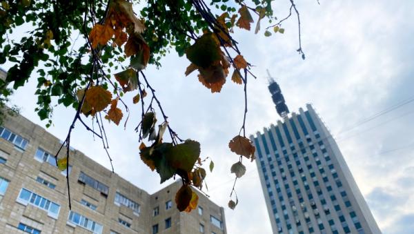 ����: News29